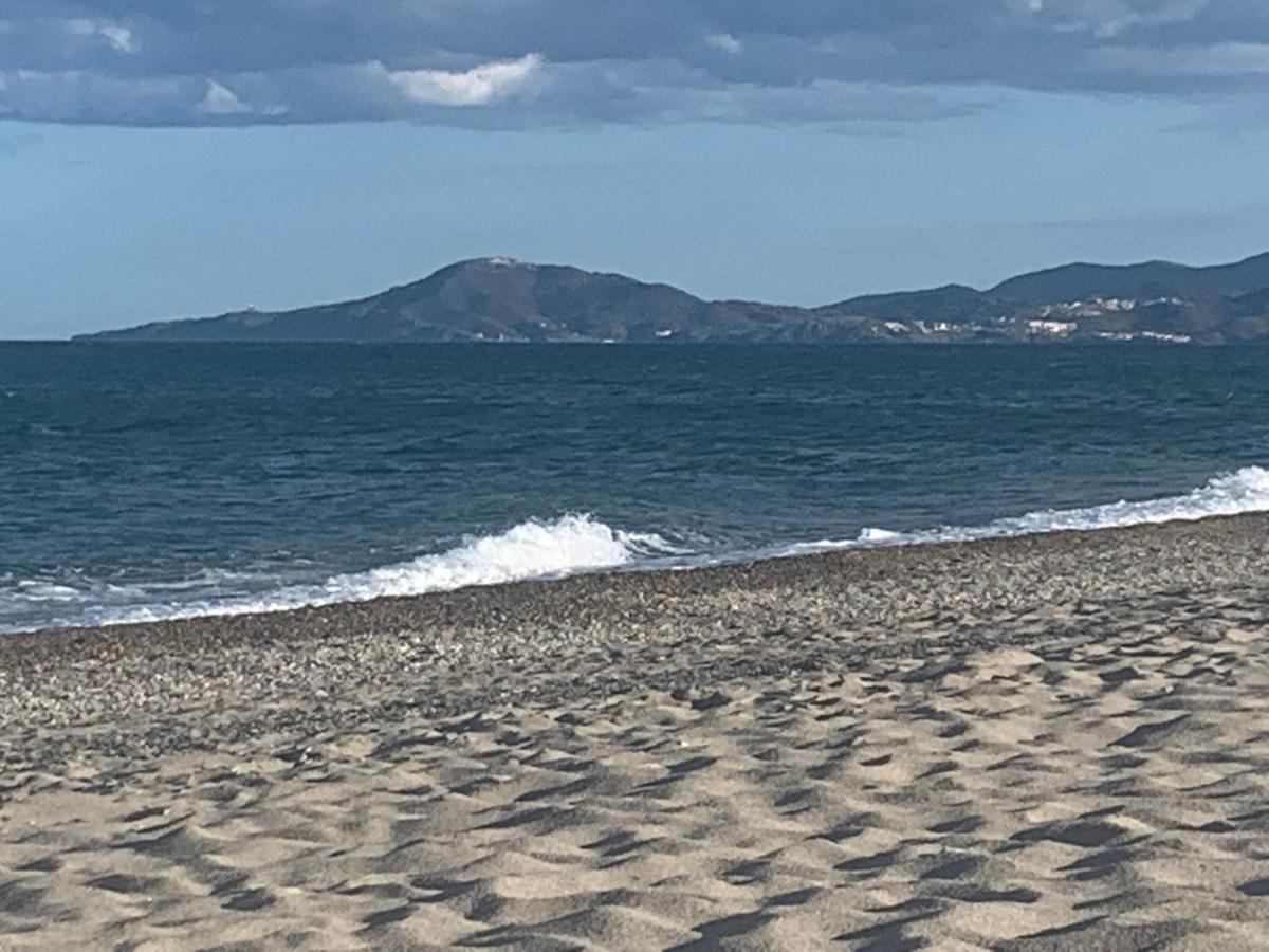 Tropique : Appart Vue Mer Et Piscine Saint-Cyprien  Exterior foto